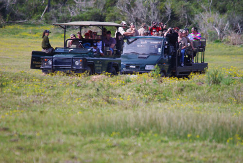 Kragga Kamma Game Park Hotel Port Elizabeth Exterior photo