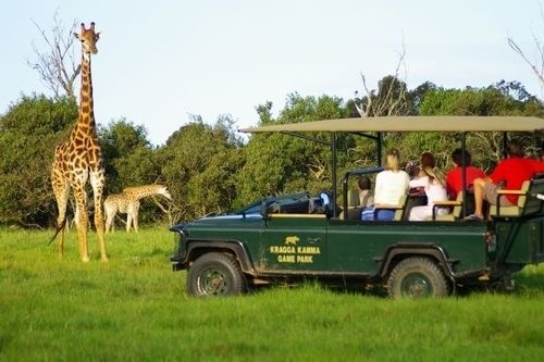Kragga Kamma Game Park Hotel Port Elizabeth Exterior photo