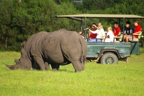Kragga Kamma Game Park Hotel Port Elizabeth Exterior photo