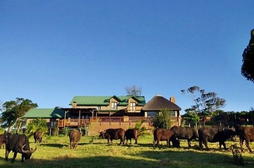 Kragga Kamma Game Park Hotel Port Elizabeth Exterior photo