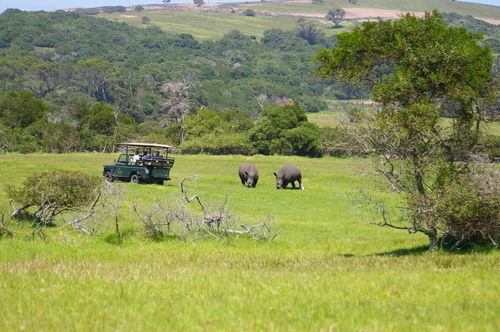 Kragga Kamma Game Park Hotel Port Elizabeth Exterior photo